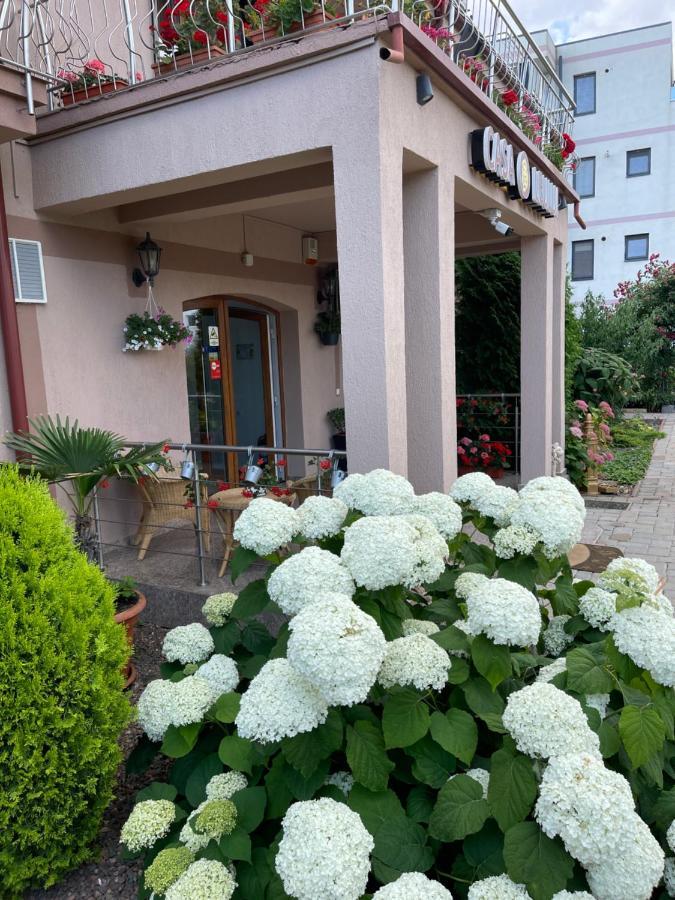 Ametist Casa Leului Hotel Navodari Exterior photo
