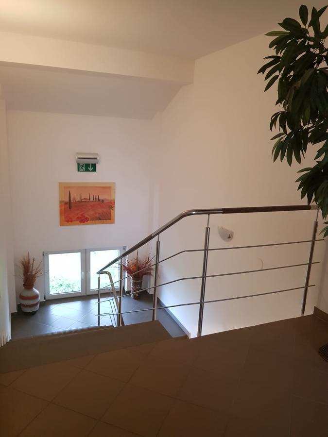 Ametist Casa Leului Hotel Navodari Exterior photo
